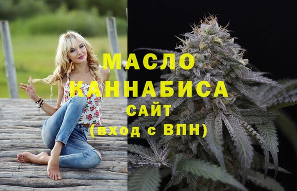 мет Надым