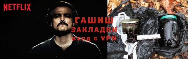 прущие грибы Нея