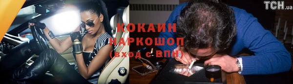 прущие грибы Нея