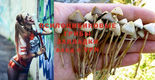 PSILOCYBIN Нефтегорск