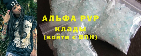 прущие грибы Нея